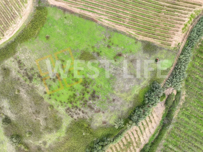 Terreno Agricola ou Rústico para Venda em Azueira e Sobral da Abelheira Foto 5
