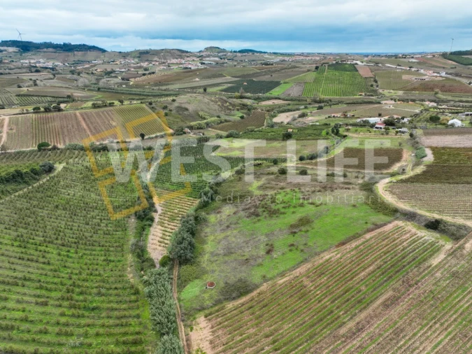 Terreno Agricola ou Rústico para Venda em Azueira e Sobral da Abelheira Foto 8