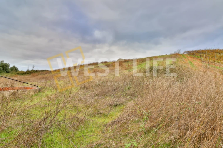 Terreno Agricola ou Rústico para Venda em Azueira e Sobral da Abelheira Foto 9
