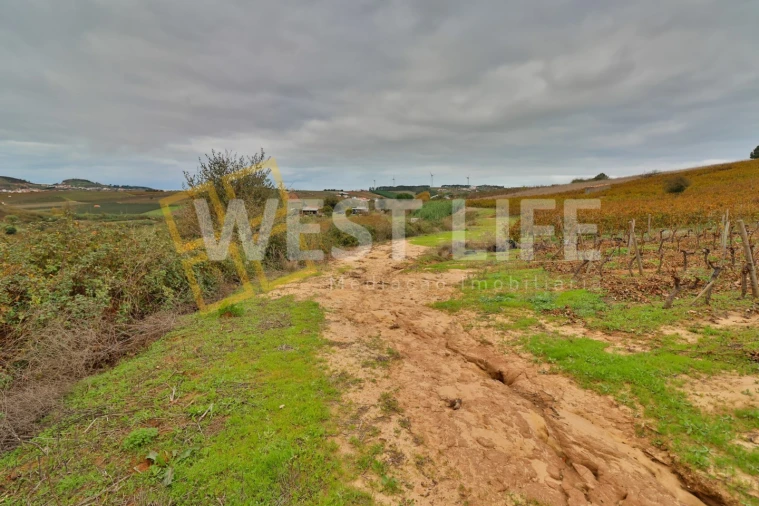 Terreno Agricola ou Rústico para Venda em Azueira e Sobral da Abelheira Foto 10