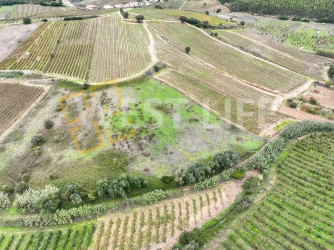 Terreno Agricola ou Rústico para Venda em Azueira e Sobral da Abelheira Foto 11