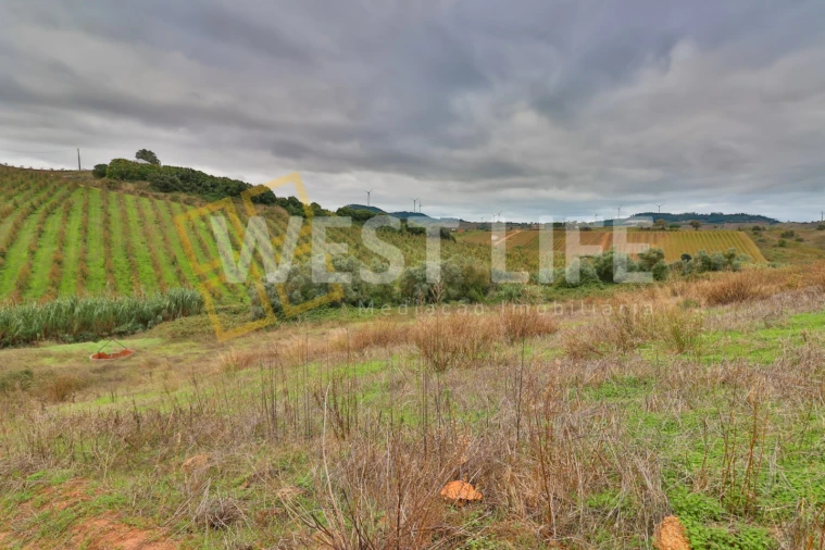 Terreno Agricola ou Rústico para Venda em Azueira e Sobral da Abelheira Foto 12