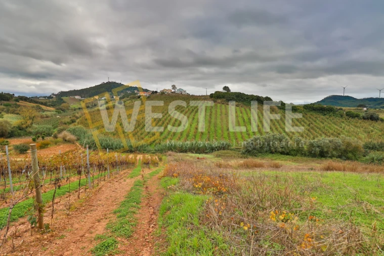 Terreno Agricola ou Rústico para Venda em Azueira e Sobral da Abelheira Foto 13
