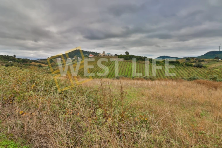 Terreno Agricola ou Rústico para Venda em Azueira e Sobral da Abelheira Foto 14