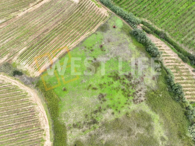 Terreno Agricola ou Rústico para Venda em Azueira e Sobral da Abelheira Foto 16