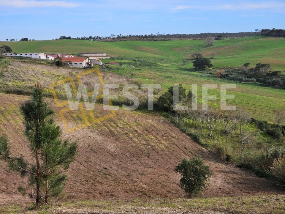 Terreno para Venda em Santo Isidoro Foto 11