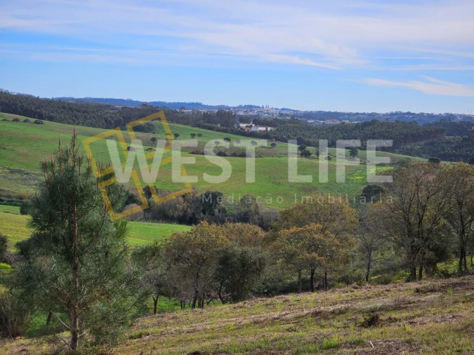 Terreno para Venda em Santo Isidoro Foto 4