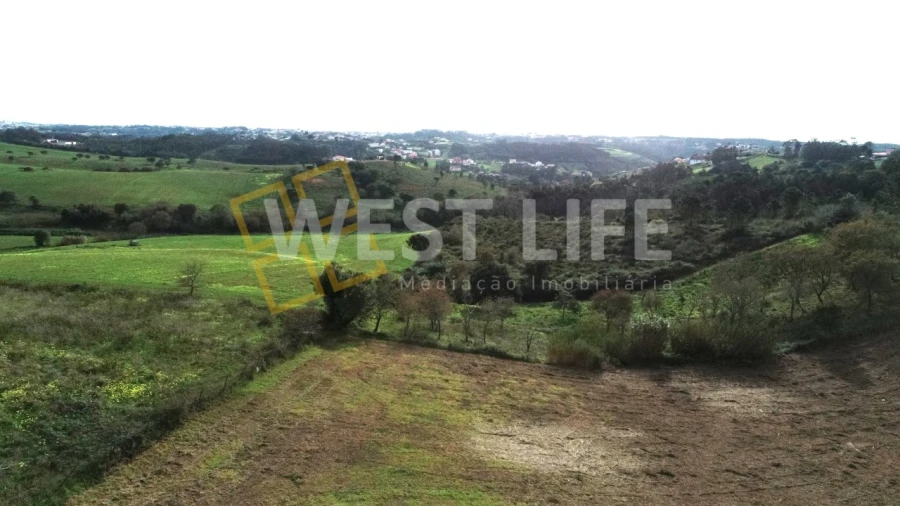 Terreno para Venda em Santo Isidoro Foto 18