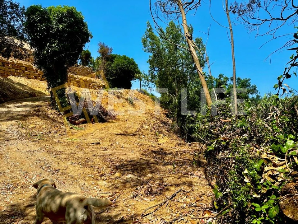 Terreno para Venda em Ericeira Foto 10