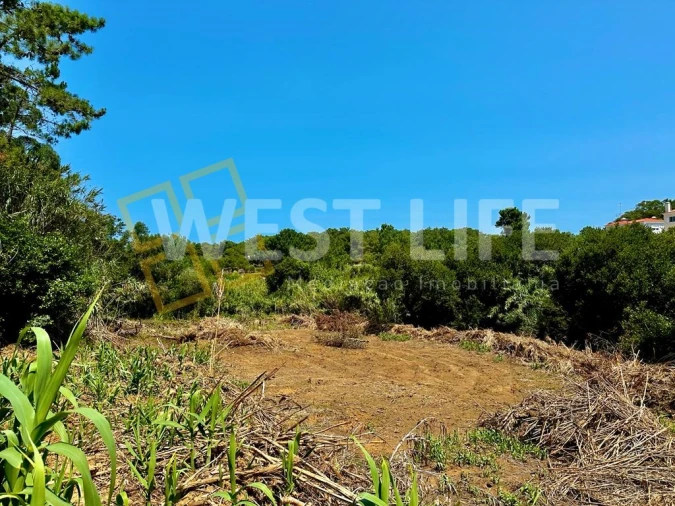 Terreno para Venda em Ericeira Foto 8