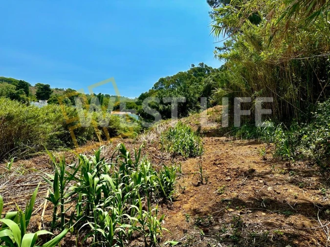 Terreno para Venda em Ericeira Foto 9
