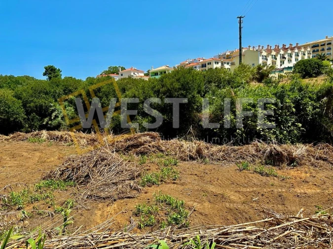 Terreno para Venda em Ericeira Foto 11