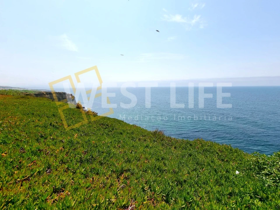 Terreno para Venda em Encarnação Foto 3