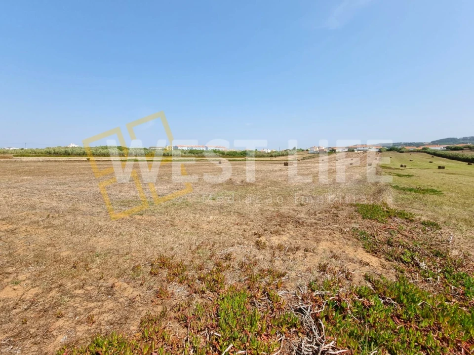 Terreno para Venda em Encarnação Foto 4