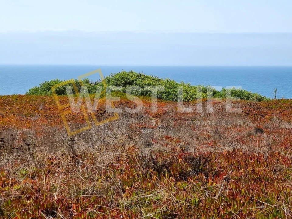 Terreno para Venda em Encarnação Foto 5