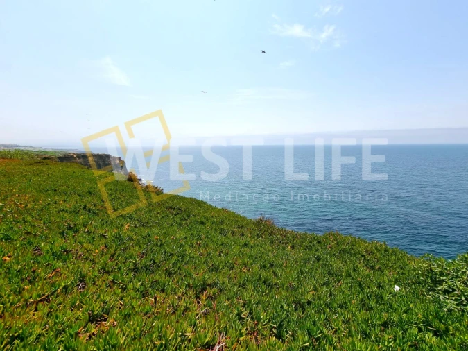 Terreno para Venda em Encarnação Foto 3
