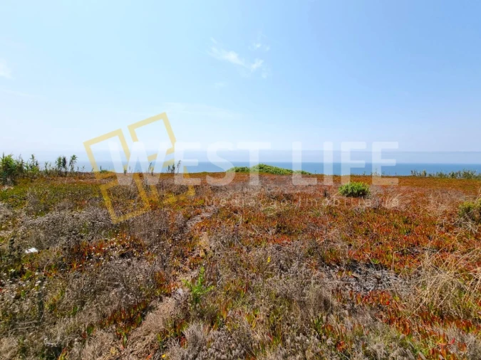 Terreno para Venda em Encarnação Foto 6