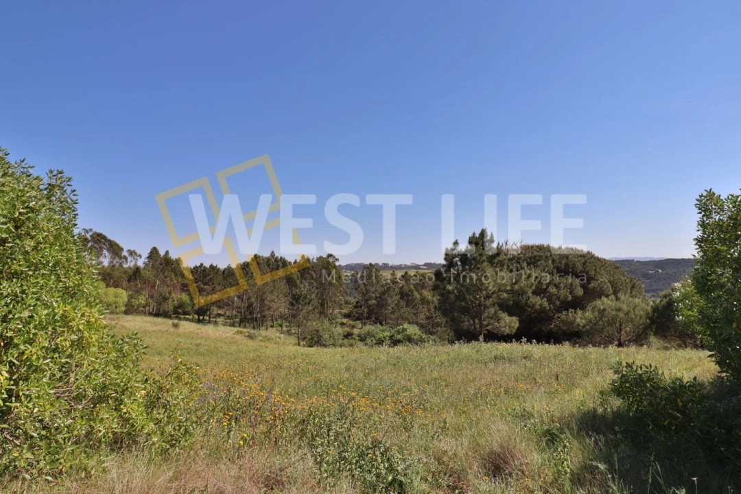 Terreno Agricola ou Rústico para Venda em Santo Isidoro Foto 4
