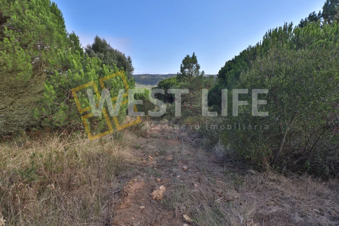 Terreno Agricola ou Rústico para Venda em Santo Isidoro Foto 10