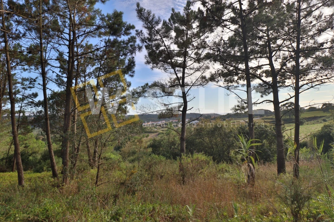 Terreno Agricola ou Rústico para Venda em Santo Isidoro Foto 14