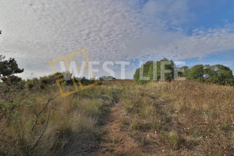 Terreno Agricola ou Rústico para Venda em Santo Isidoro Foto 9