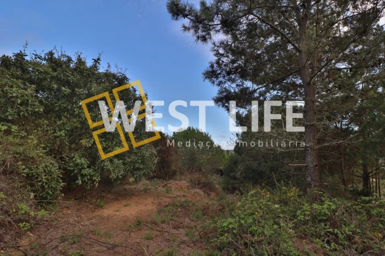 Terreno Agricola ou Rústico para Venda em Santo Isidoro Foto 18