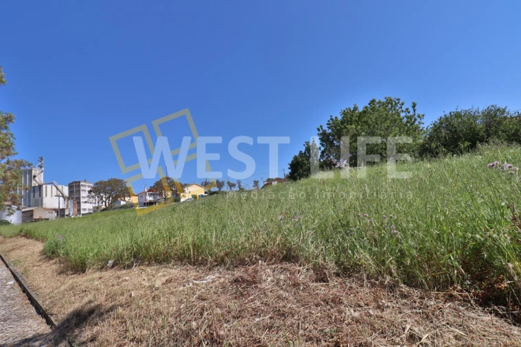 Terreno para Venda em Santa Maria, São Pedro e Matacães Foto 7