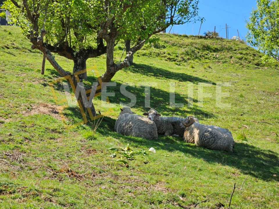Moradia T4 para Venda em Malveira e São Miguel de Alcainça Foto 14