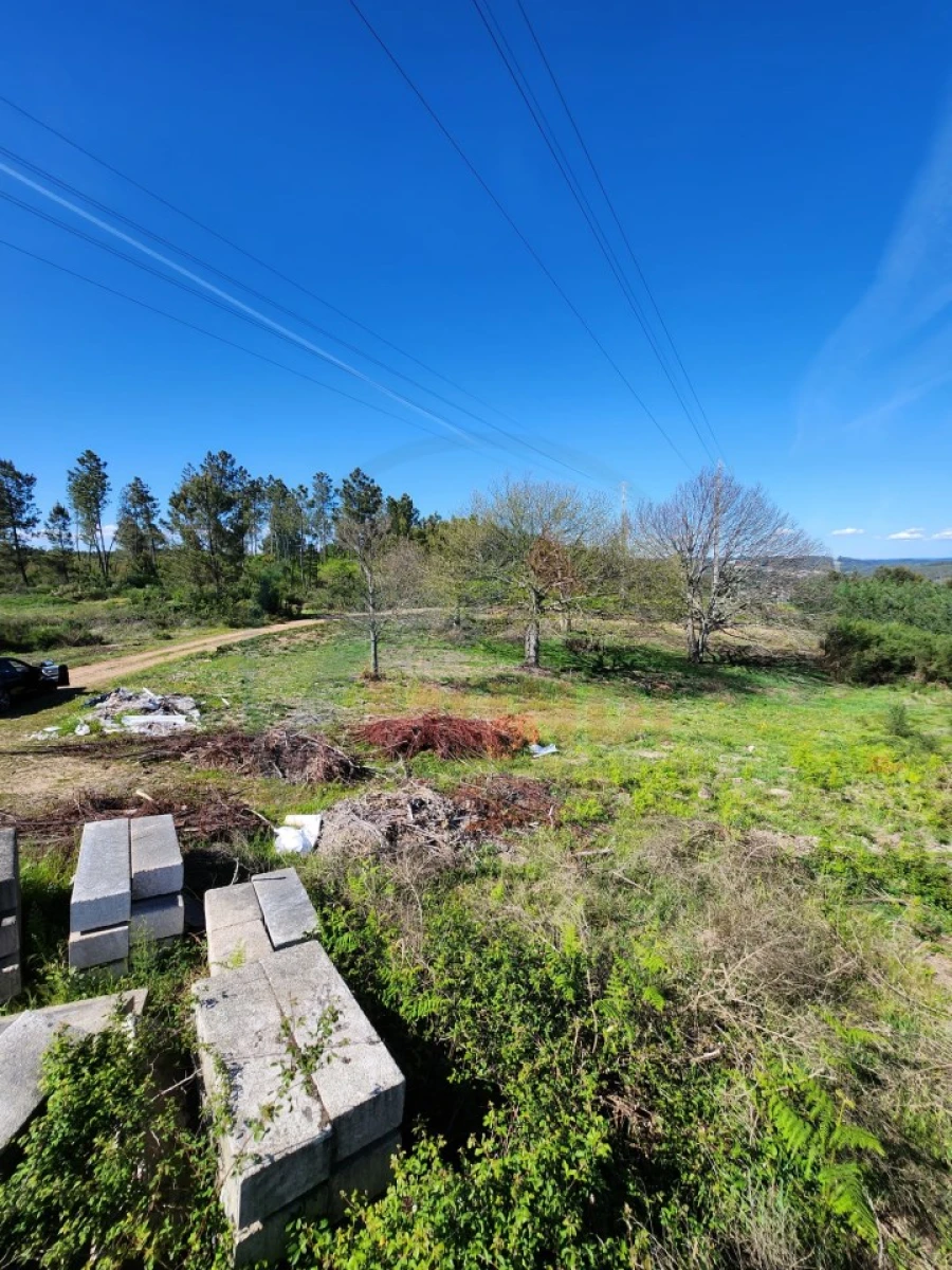Terreno para Venda em Cavernães Foto 11