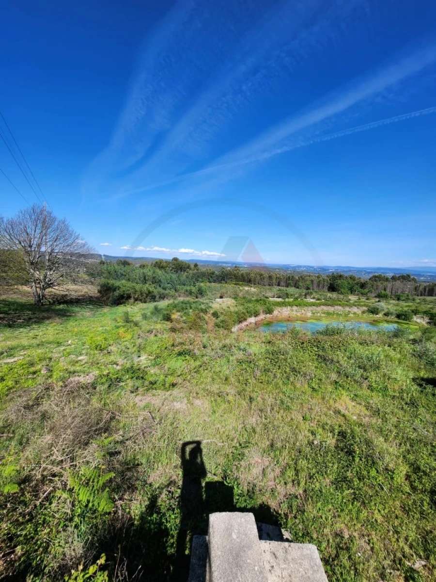 Terreno para Venda em Cavernães Foto 5