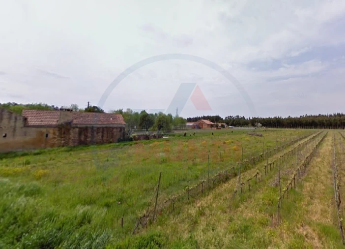 Terreno para Venda em Covões e Camarneira Foto 2