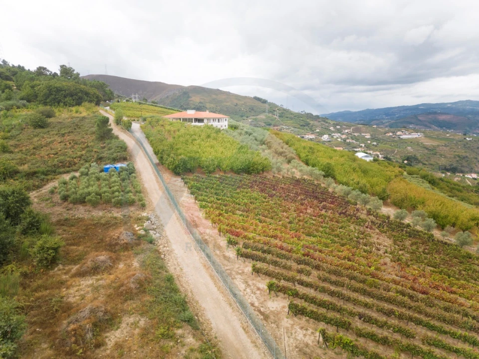 Quinta T6 para Venda em Penajoia Foto 20