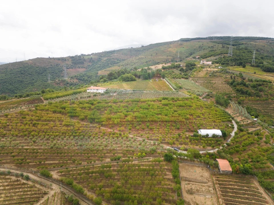 Quinta T6 para Venda em Penajoia Foto 24