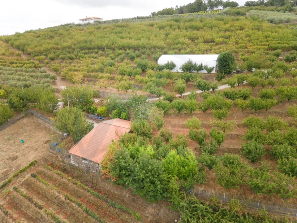 Quinta T6 para Venda em Penajoia Foto 25