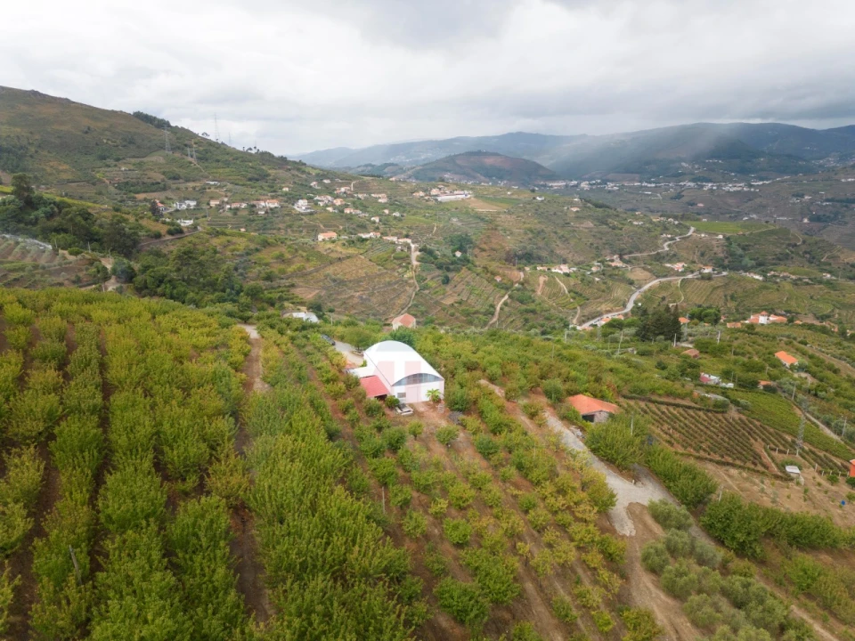 Quinta T6 para Venda em Penajoia Foto 31