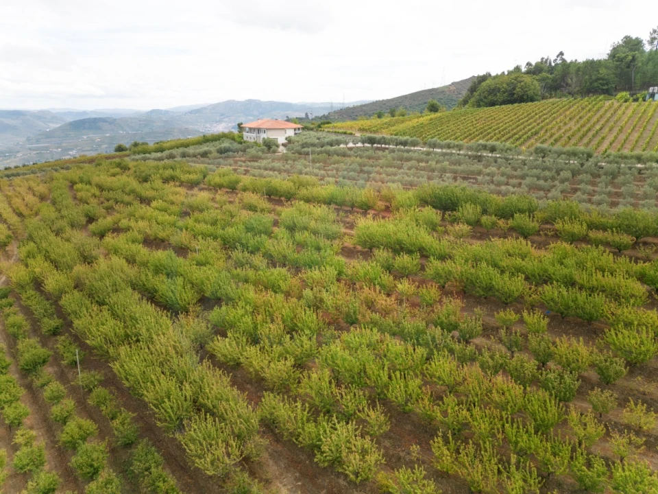 Quinta T6 para Venda em Penajoia Foto 32