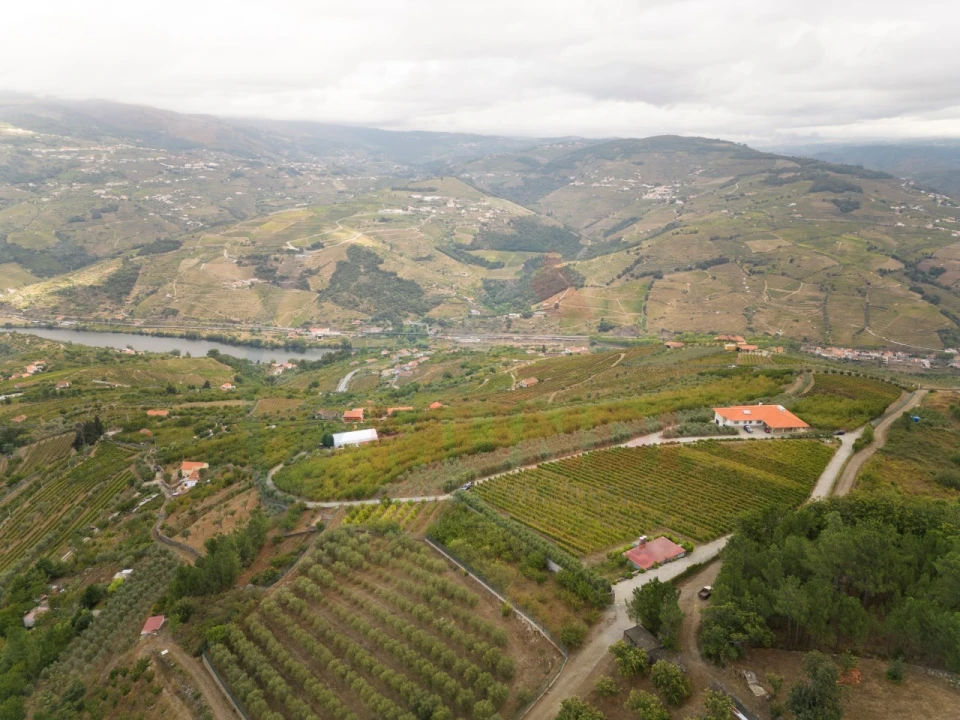 Quinta T6 para Venda em Penajoia Foto 33