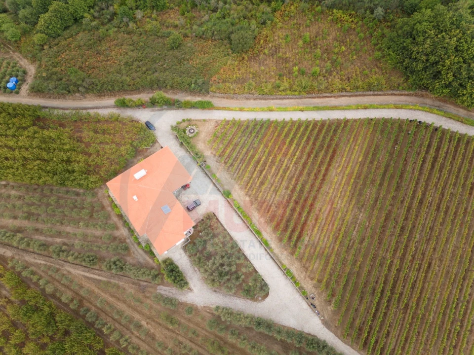 Quinta T6 para Venda em Penajoia Foto 36