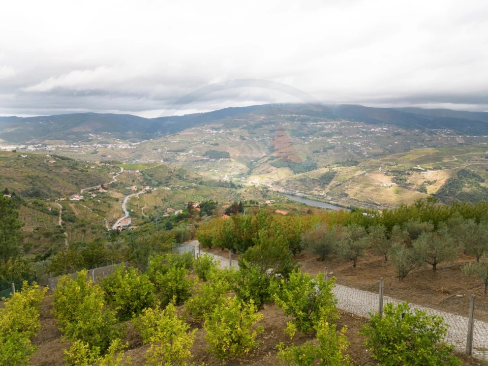 Quinta T6 para Venda em Penajoia Foto 37