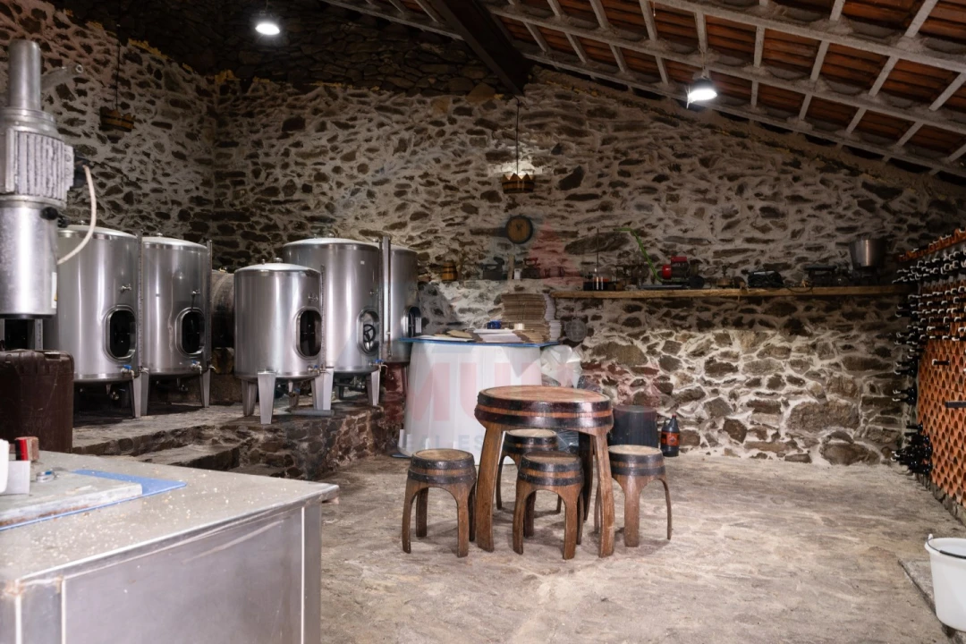 Quinta T6 para Venda em Penajoia Foto 41