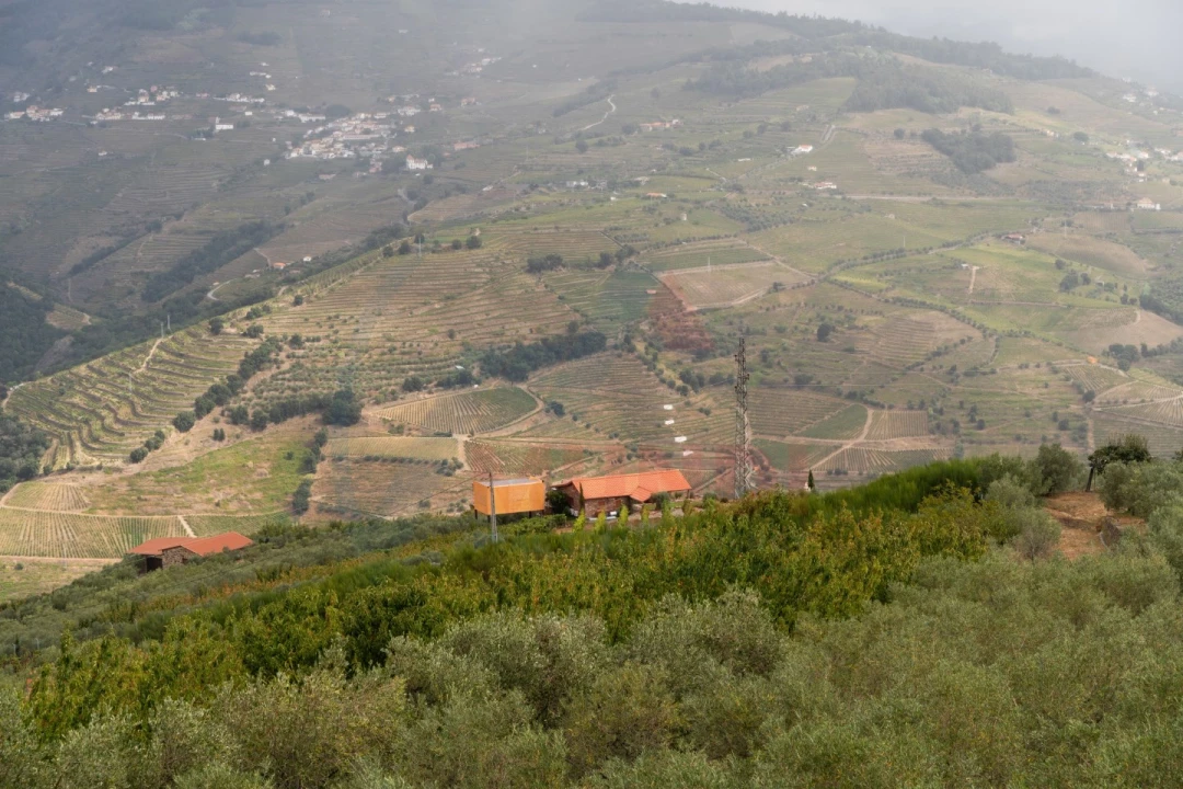 Quinta T6 para Venda em Penajoia Foto 50