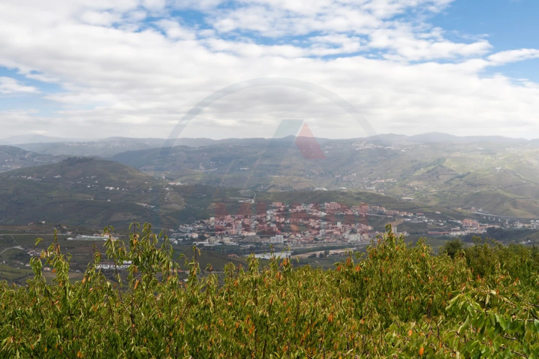 Quinta T6 para Venda em Penajoia Foto 51