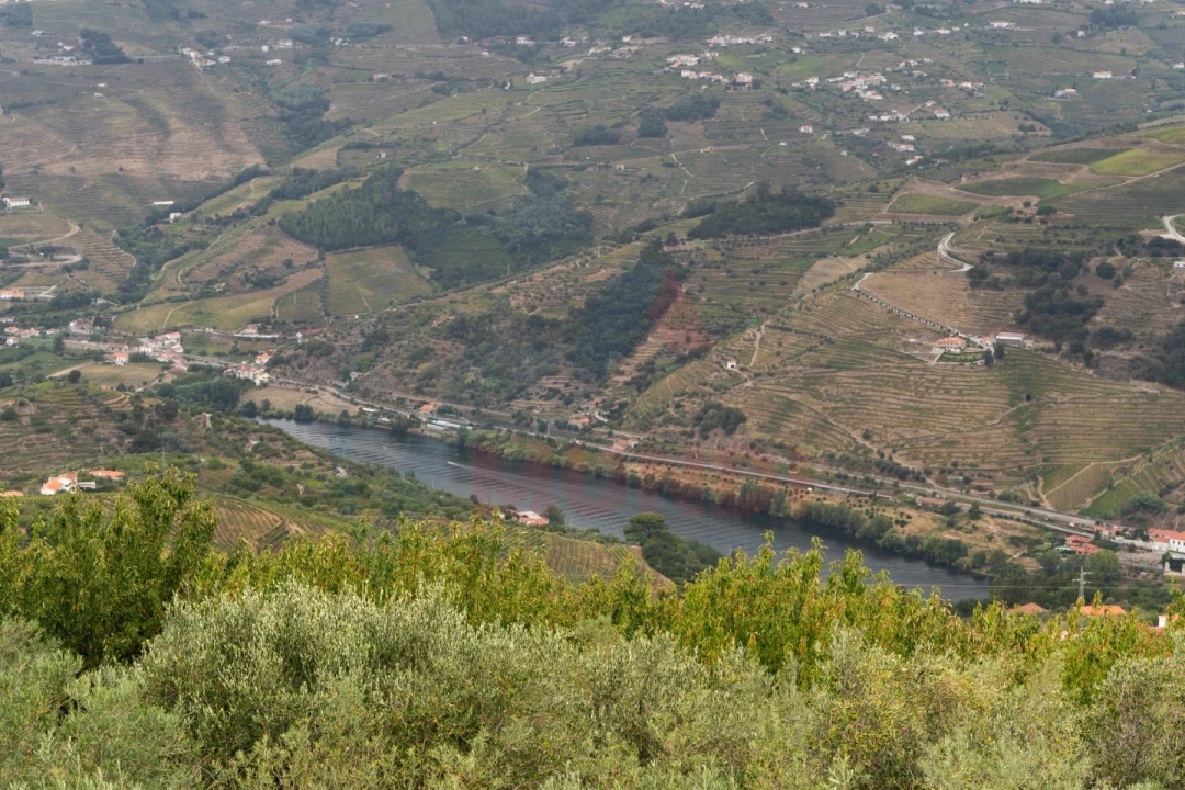 Quinta T6 para Venda em Penajoia Foto 10