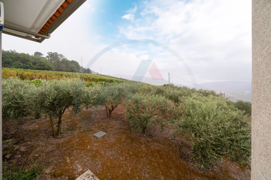 Quinta T6 para Venda em Penajoia Foto 52