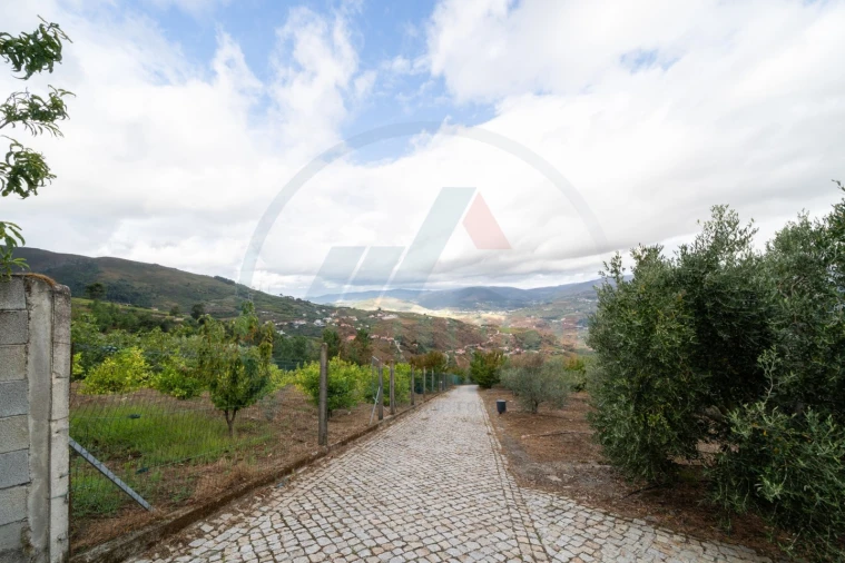 Quinta T6 para Venda em Penajoia Foto 11