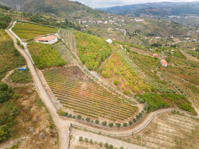 Quinta T6 para Venda em Penajoia Foto 22