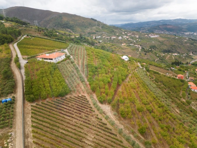 Quinta T6 para Venda em Penajoia Foto 23