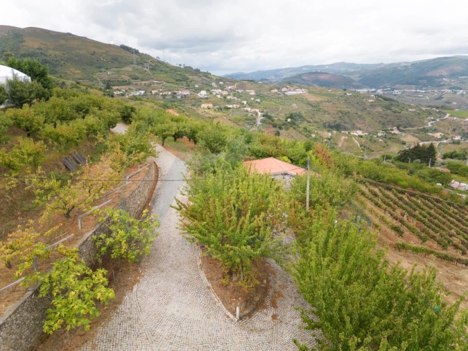 Quinta T6 para Venda em Penajoia Foto 26