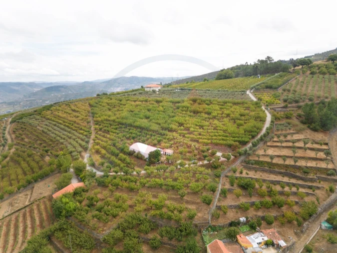 Quinta T6 para Venda em Penajoia Foto 30