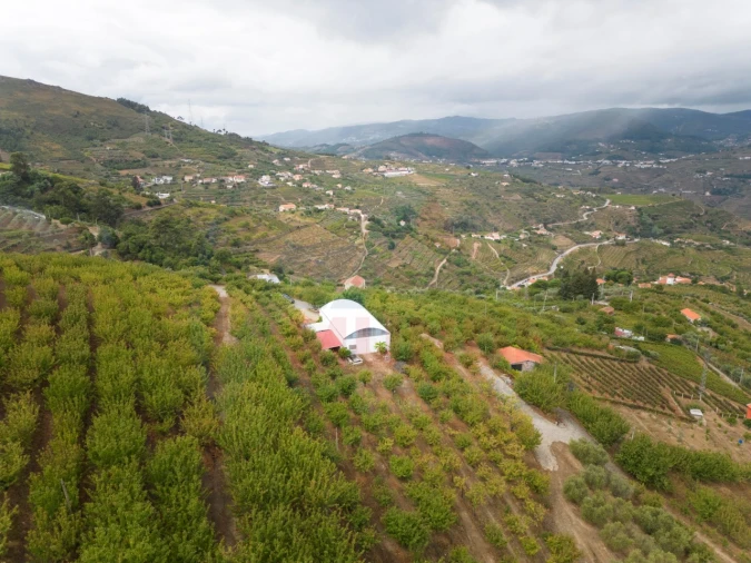 Quinta T6 para Venda em Penajoia Foto 31